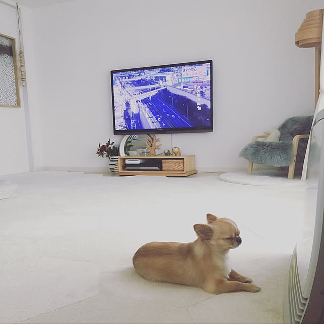 haruhinaさんの実例写真