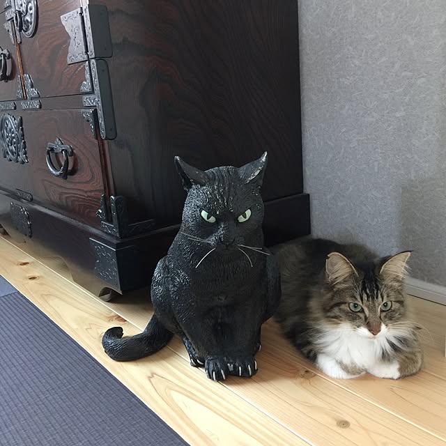 yuchiさんの実例写真