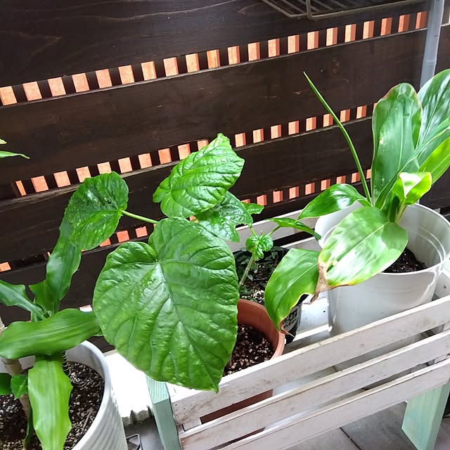 montomoさんの部屋