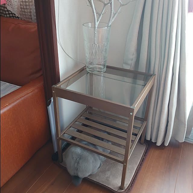 kirariさんの部屋