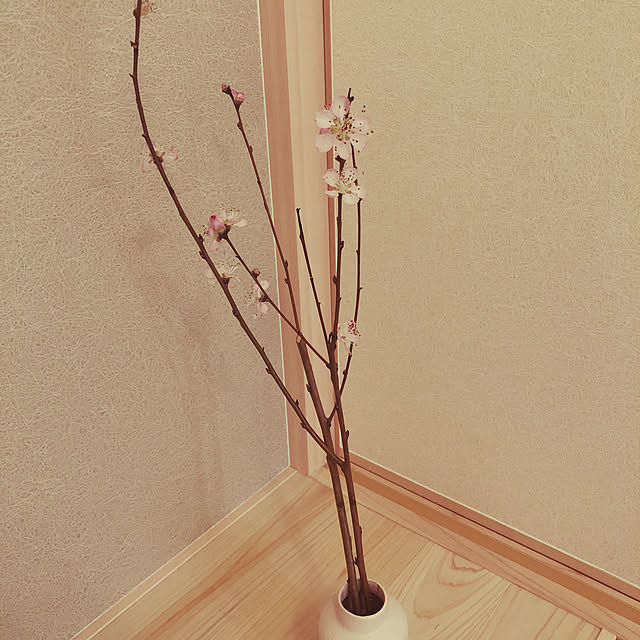 ninさんの実例写真