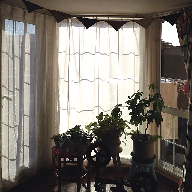 Minamiさんの実例写真