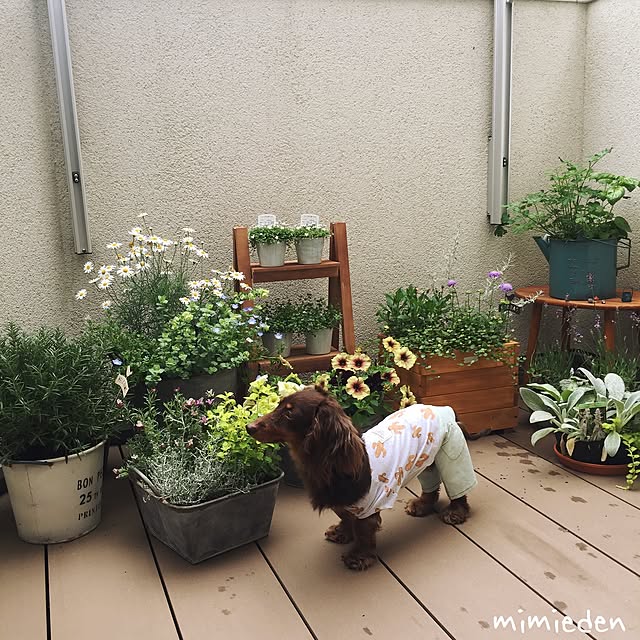 mimiedenさんの実例写真