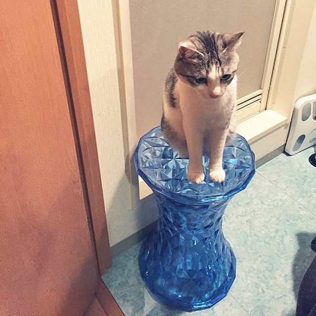emmyyさんの実例写真