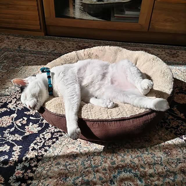 yuuさんの部屋