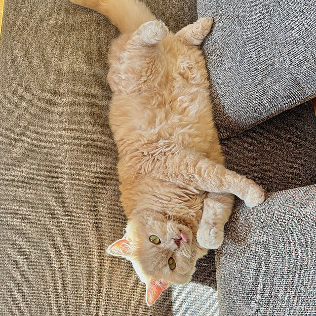 naokoさんの部屋