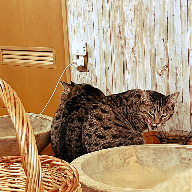 Mさんの実例写真