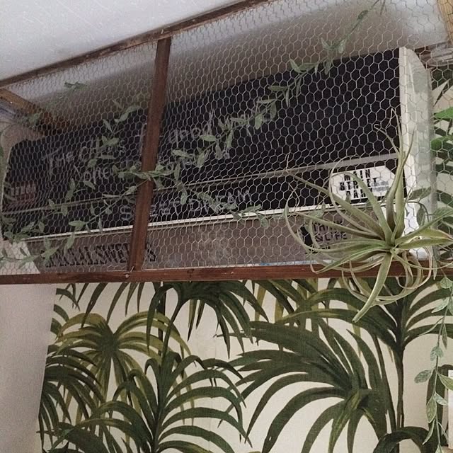 painmomoさんの実例写真