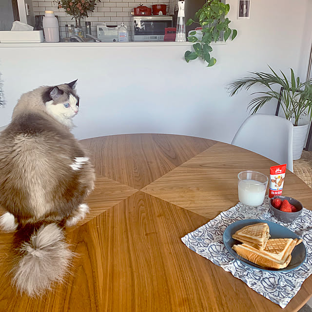Micccaさんの実例写真