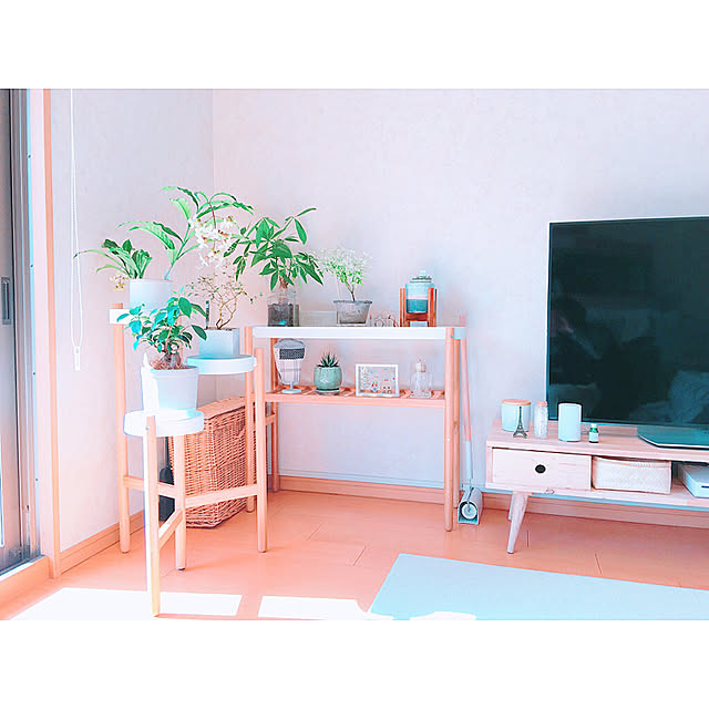 tokoさんの実例写真