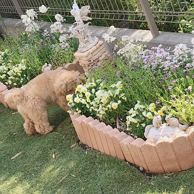 Mikaさんの実例写真