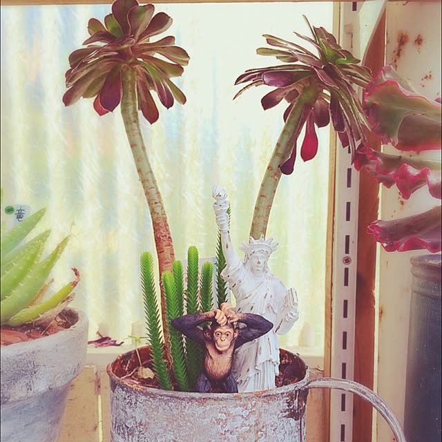 haruさんの実例写真