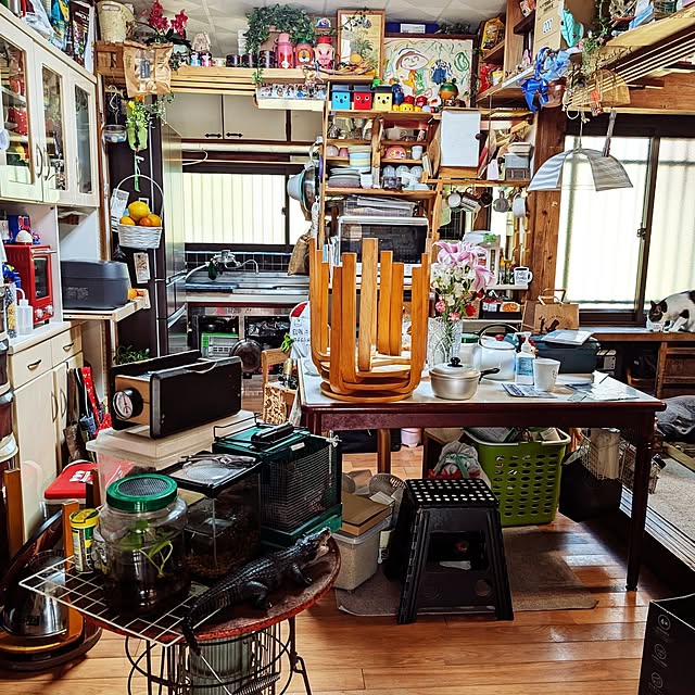 kikuさんの実例写真