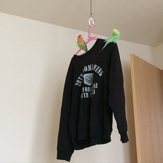 toratanさんの実例写真