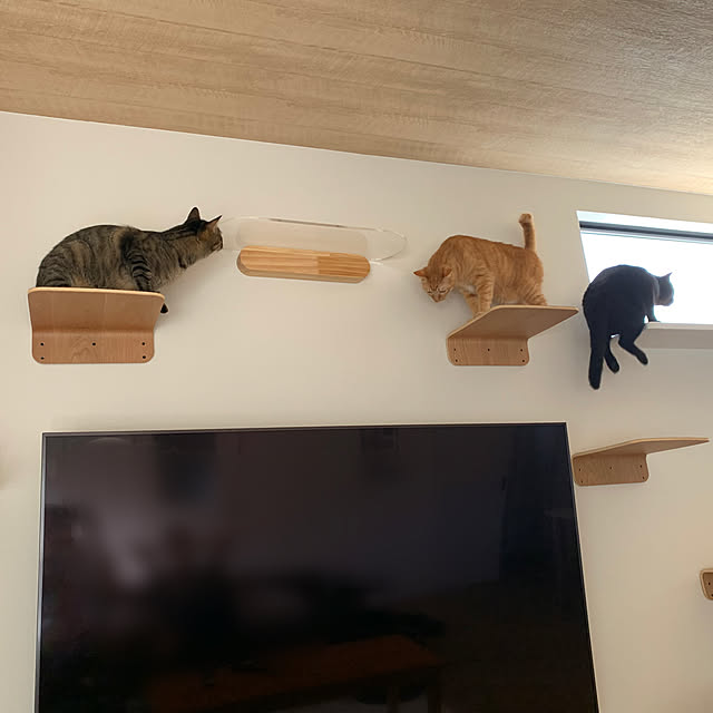 neko_daisukiさんの実例写真