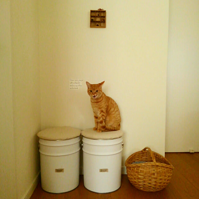 mayutan.さんの実例写真