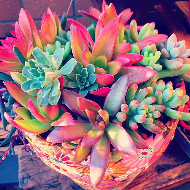 yukawoさんの実例写真