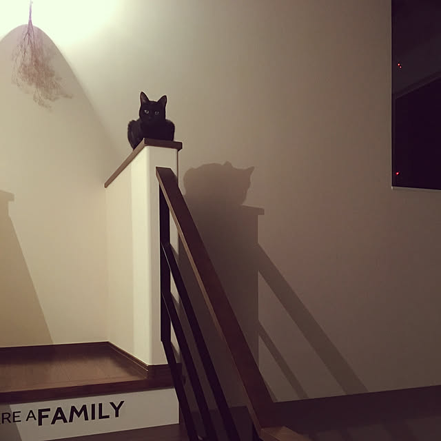 tomoさんの実例写真