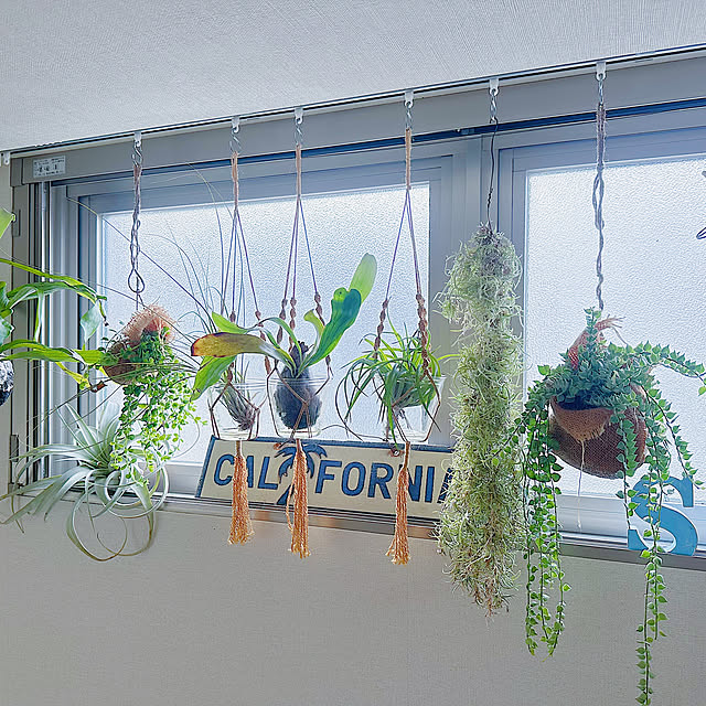 California0809さんの部屋