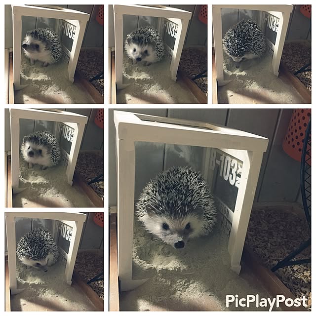 RURULOVEさんの実例写真