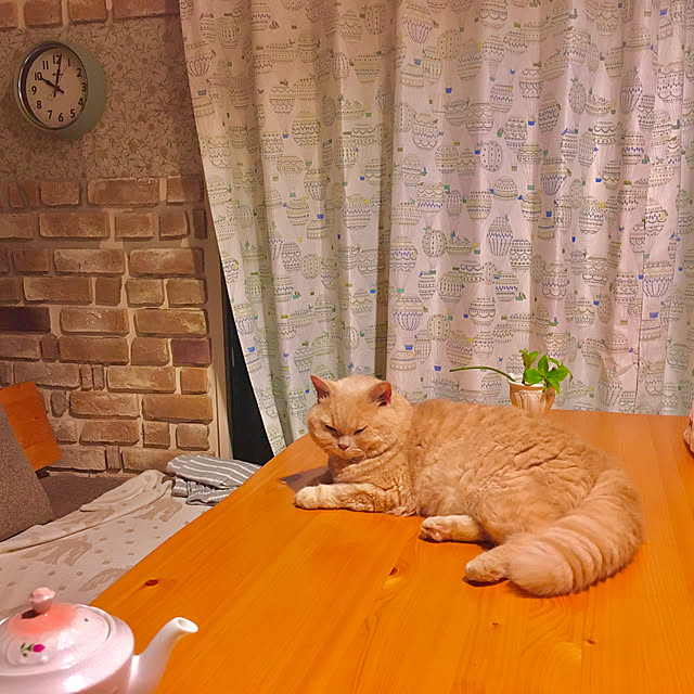 naokoさんの実例写真