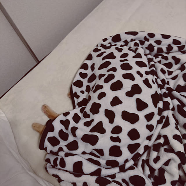 kyoko_aさんの実例写真