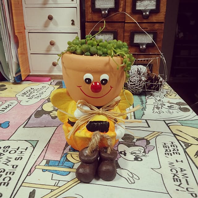 izmさんの実例写真