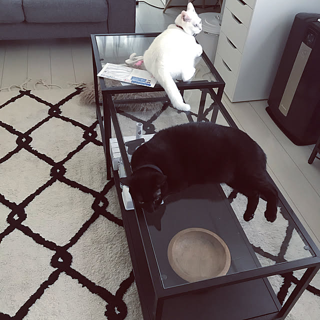 IKEA イケア ネストテーブル2点セット ガラス ブラックブラウン IKEA イケア ネストテーブル2点セット ガラス ブラックブラウン