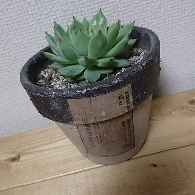 buuさんの実例写真