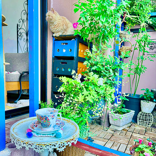 naokoさんの部屋