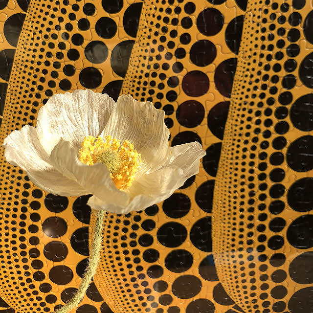 chacoさんの実例写真