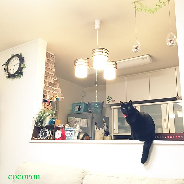 cocoronさんの実例写真