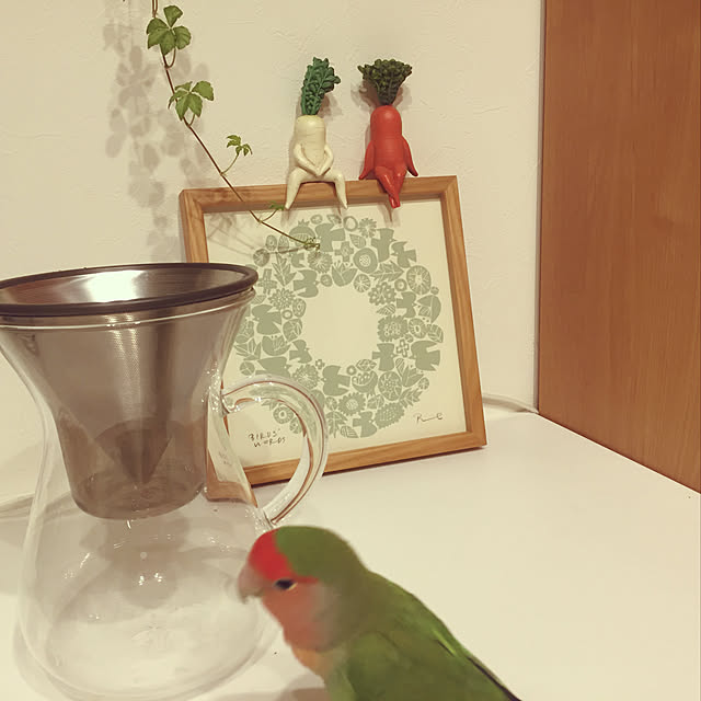 umetocayoさんの実例写真