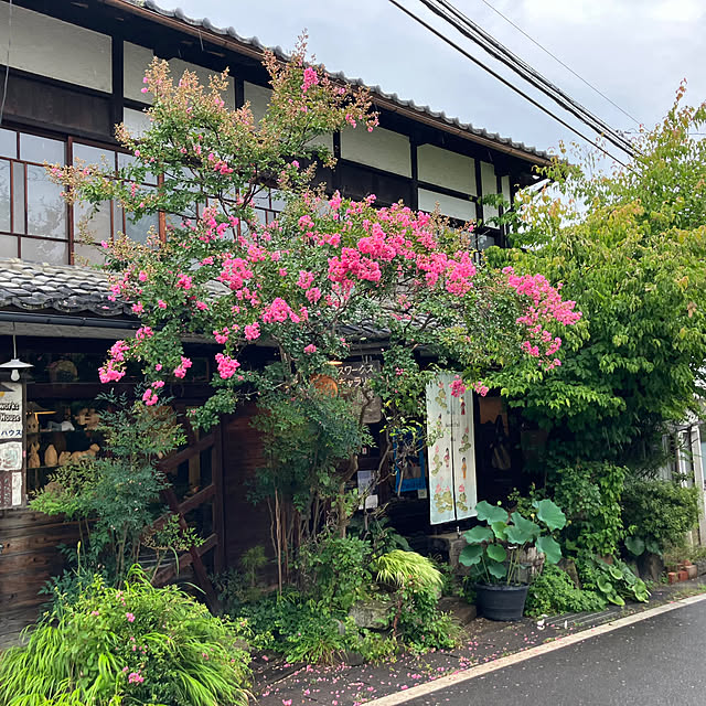 akanekoさんの実例写真