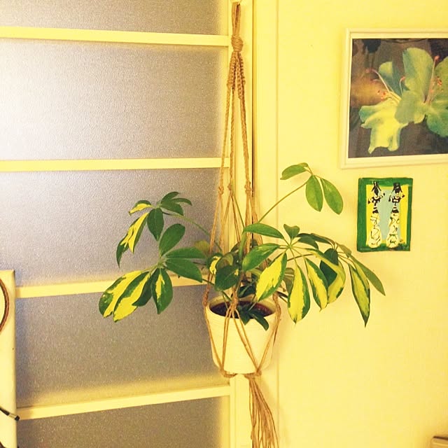 MarcelaKVさんの実例写真