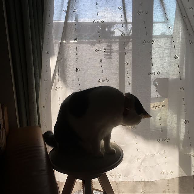 hanaさんの実例写真