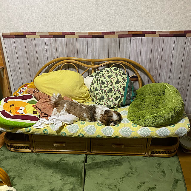 SHIHOさんの実例写真