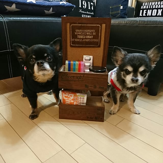 lovepeaceさんの実例写真