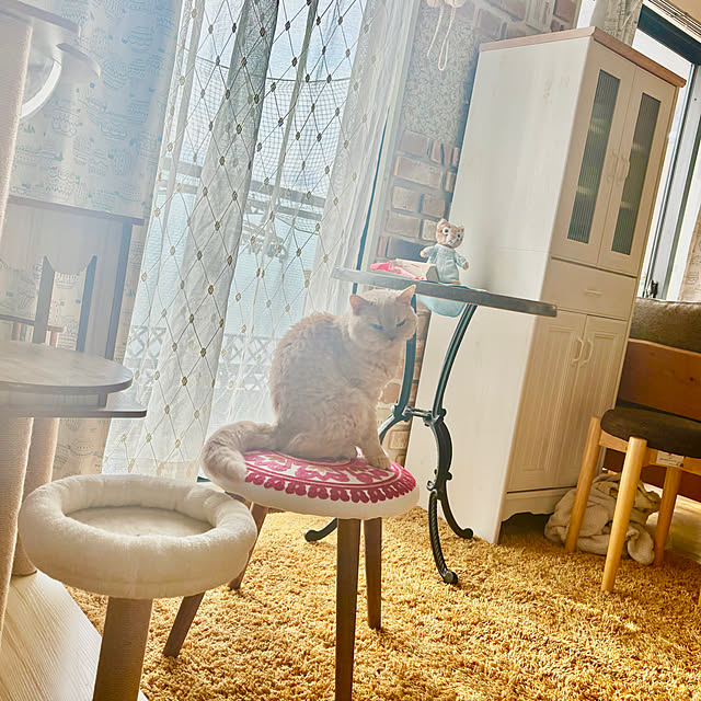 naokoさんの部屋