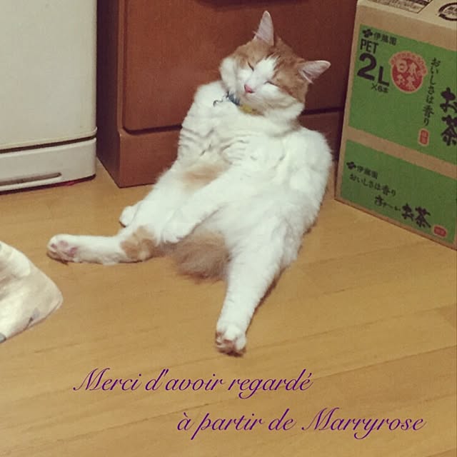 maria.rさんの実例写真