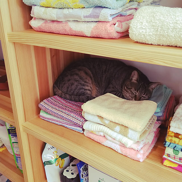 youkoasaさんの実例写真