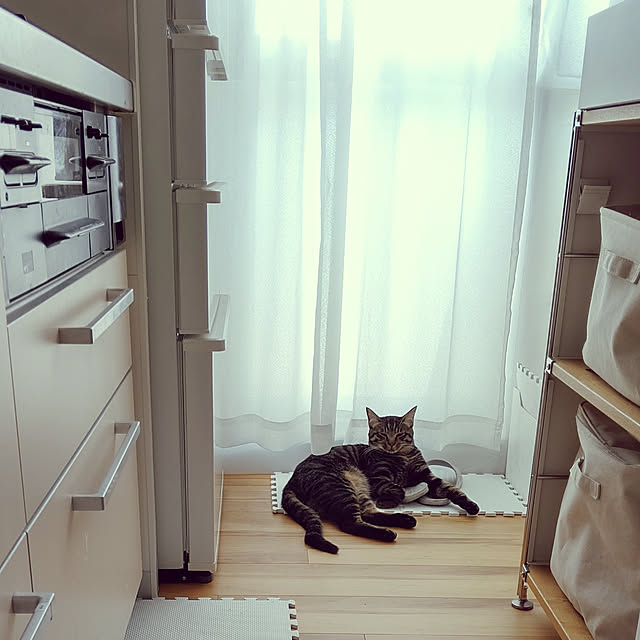 hihaさんの実例写真