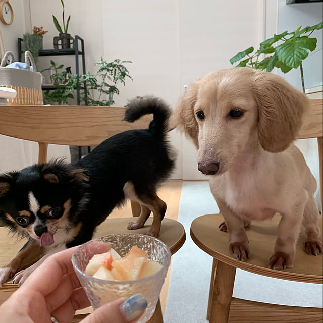 mimiedenさんの実例写真