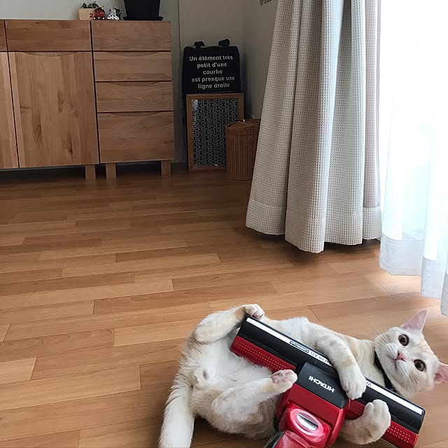 hiyupan88さんの実例写真