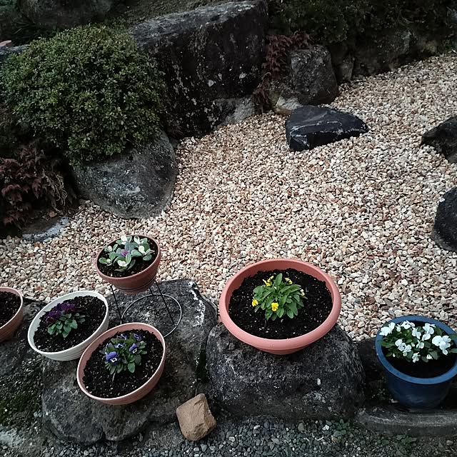 sumimarumiさんの部屋