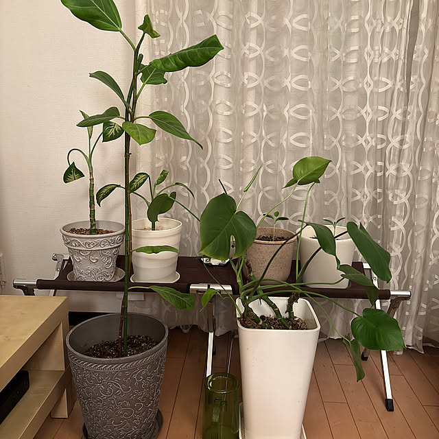 fyuuuさんの実例写真