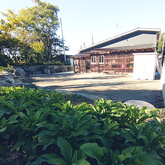 ya-さんの実例写真
