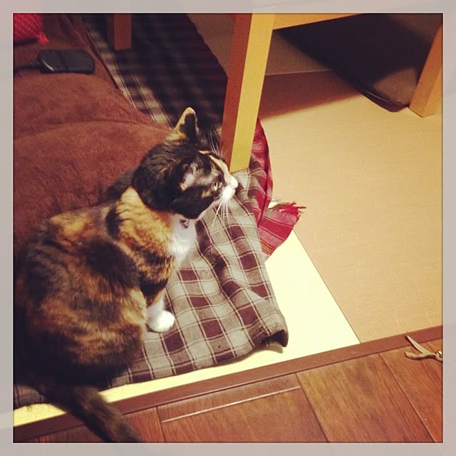 Rieさんの実例写真