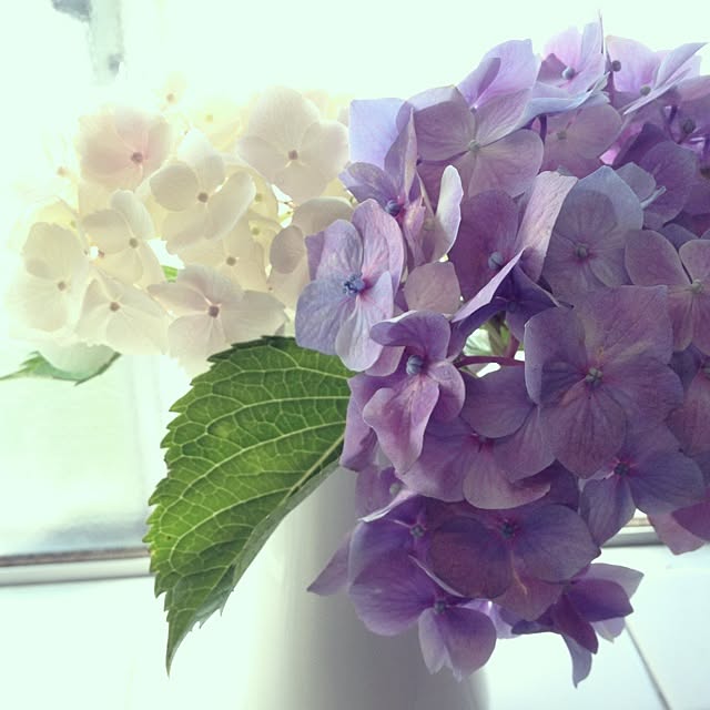 ohama147さんの実例写真