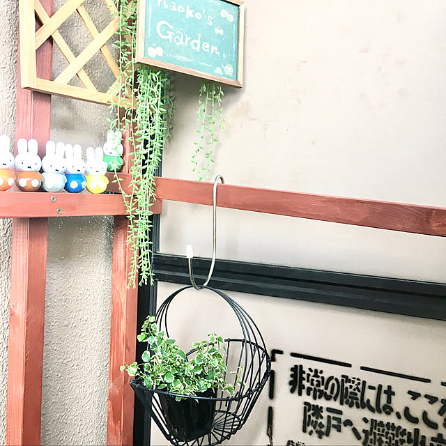 naokoさんの実例写真